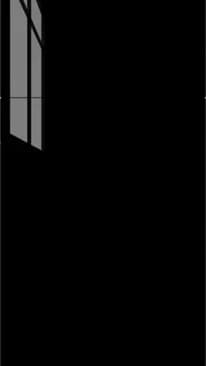 Door preview
